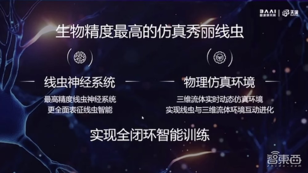 最高精度“智能线虫”如何诞生?揭秘背后关键技术