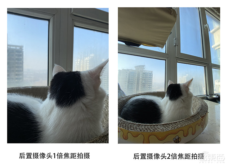 疫情把你闷在家,看如何在iOS 13里快乐“杀”时间