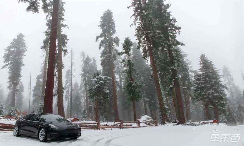 电动车有多省钱?海外网友开Model 3行驶32万公里,省了近20万