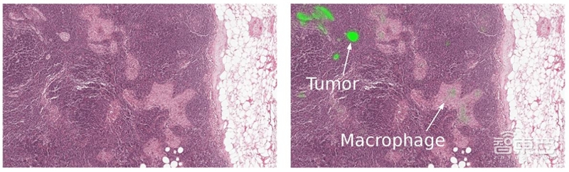 2019年25大人工智能趋势!一文看到未来【附下载】| 智东西内参