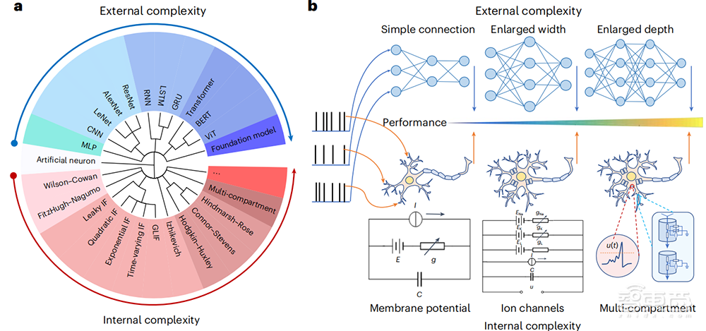 中国类脑计算研究登Nature子刊:解锁AI性能提升新路径,中科院清华北大联合成果