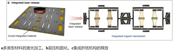 国防科大造了个纸片机器人,登上Nature子刊