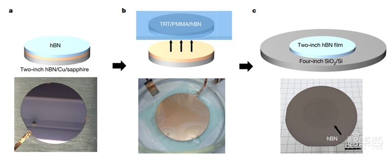 Nature深度:1纳米芯片将成可能,台积电研制世界最薄二维半导体材料【附下载】| 智东西内参