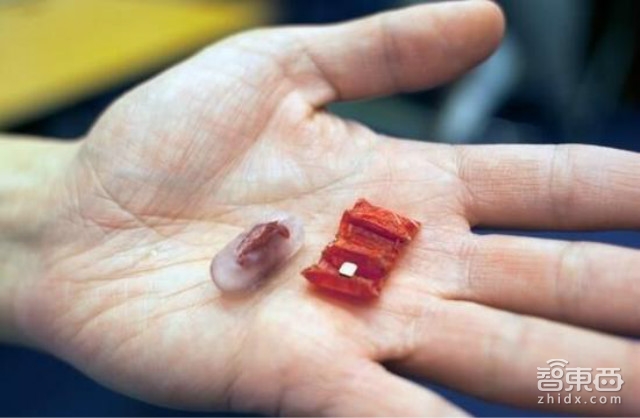 智东西晚报:富士康和硕已量产iPhone 7 戴尔为EMC发债160亿美元