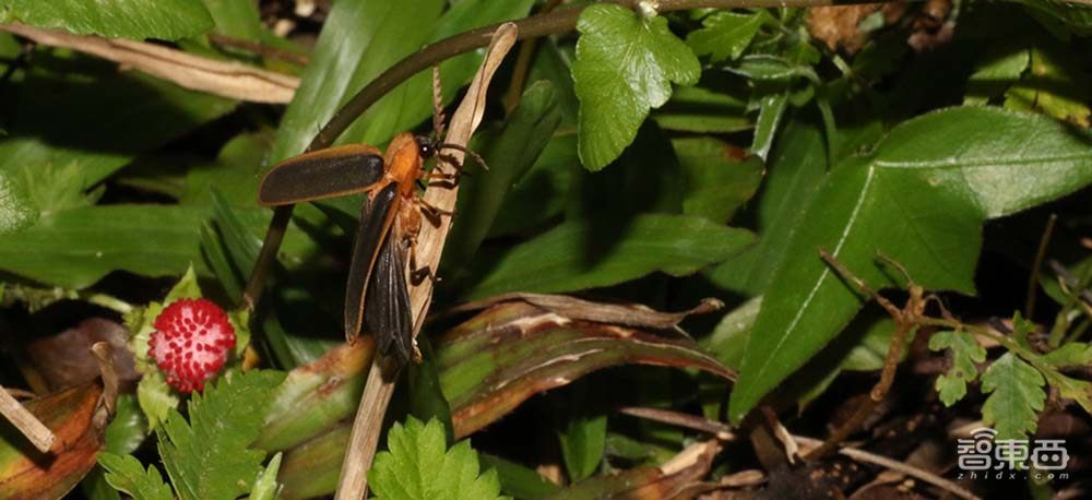 每滴水用3.5次，台积电用水有多抠？近9成是再生水