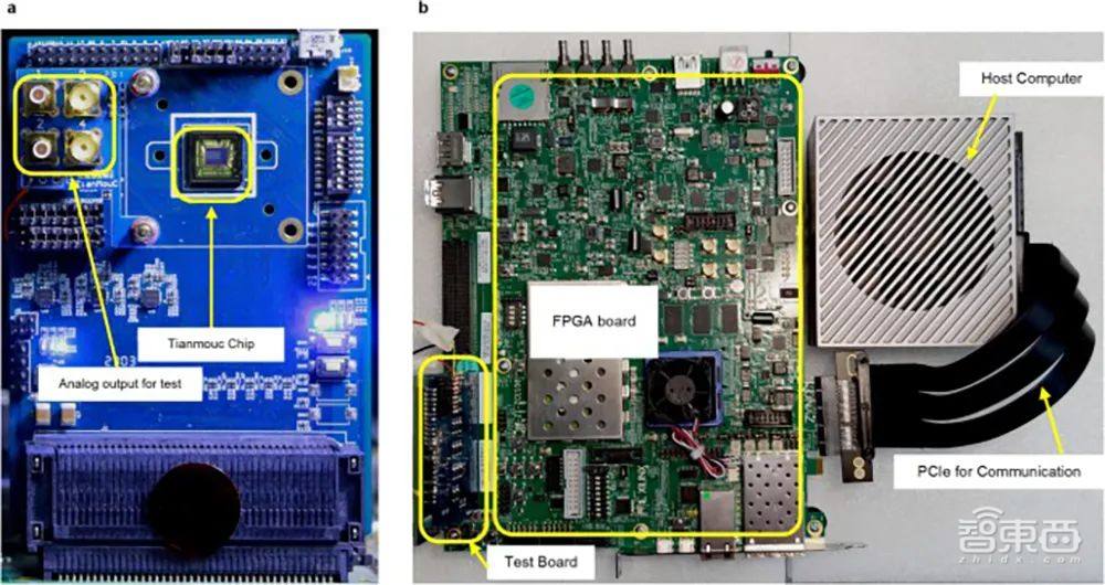 清华计算双“王炸”登Nature!类脑芯片取得重大突破,量子模拟打破国际纪录
