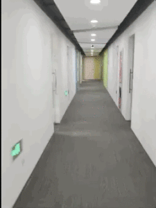 OPPO Reno3 Pro太贵？2019最后一款手机究竟有哪些大招