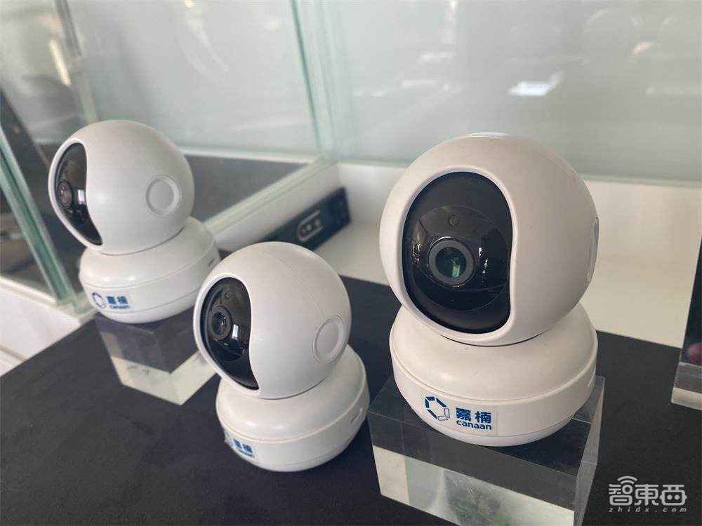 对话嘉楠科技CEO张楠赓:怎样戳破AI芯片的泡沫