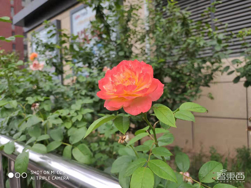 小米CC9七大拍照玩法实测,“AI换天”隐藏的太深了!