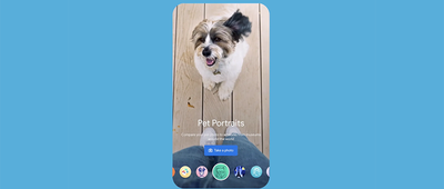 你的宠物也有艺术化身了，谷歌AI新功能上线