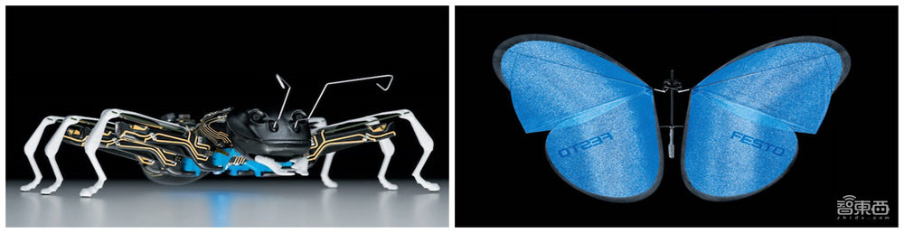 神奇！超逼真仿生雨燕机器人，仅42克翼展68厘米，能自主导航飞行