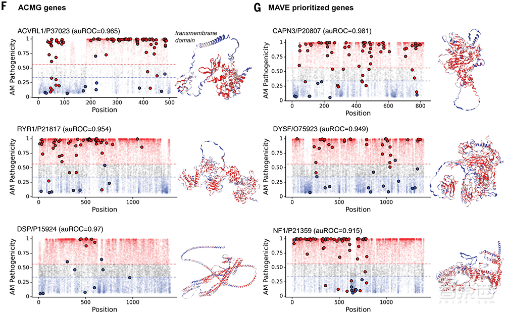 DeepMind再放大招！新模型可预测基因突变是否致病，比人类专家提升近千倍