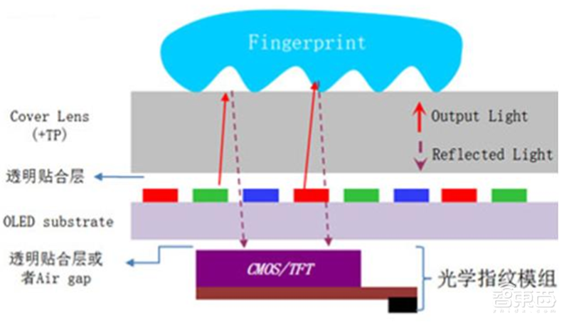 揭秘快车道上的光学摄像头行业,手机成为最大助力 | 智东西内参