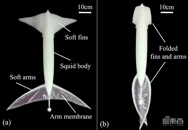 鱿鱼机器人靠喷水前进，北航与瑞士联邦理工研发仿生机器人