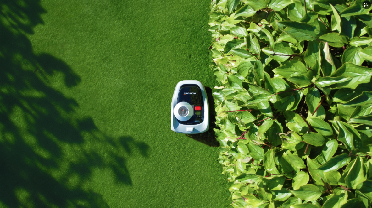 北京机器人公司攻陷欧美家庭!三年营收翻7倍,独家对话创始人