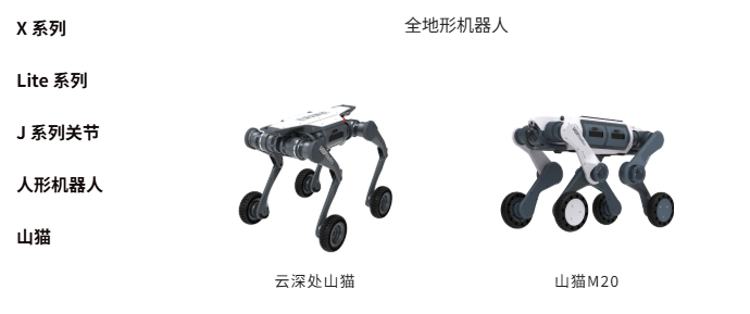 杭州机器人外网被刷爆!背灭火器冲火场、沙漠山地狂奔,浙大教授打造