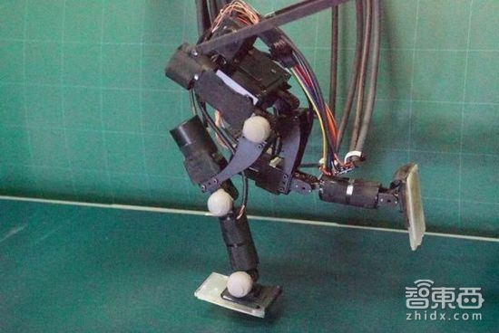 波士顿动力的逆天科技 被这14家公司做到了