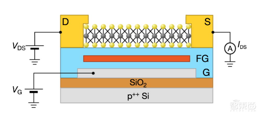 Nature揭秘:原子薄型半导体如何成为存内计算“救星”?