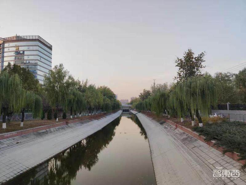 小米1亿像素手机拍照体验，从微距拍到超广角，效果到底如何？