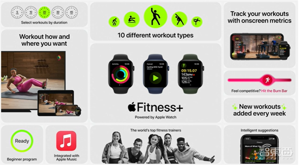 苹果最强芯A14牙膏挤爆!手表首发“小杯”SE版,iPhone 12下月见