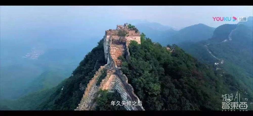 芯片巨头的AI“搬砖”路:如何从一粒种子到一片森林?