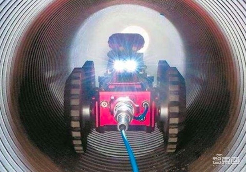 癌症救星！微型机器人将可进入体内杀死癌细胞