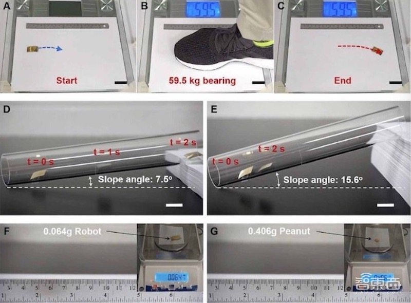 癌症救星!微型机器人将可进入体内杀死癌细胞