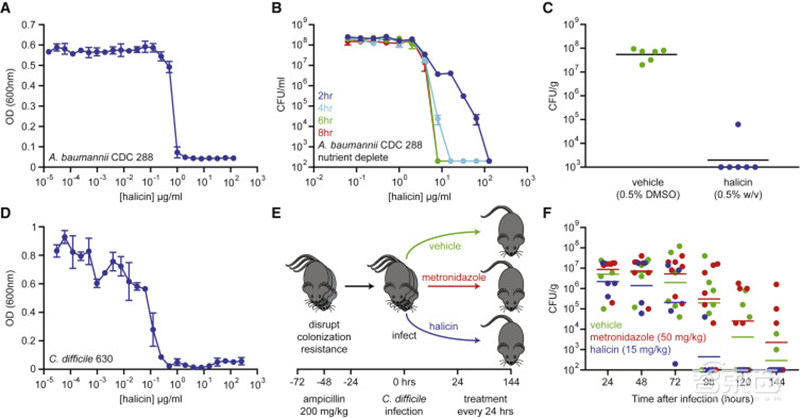 重磅！AI发现超级抗生素，能干掉多种致病细菌，从1.07亿分子筛出
