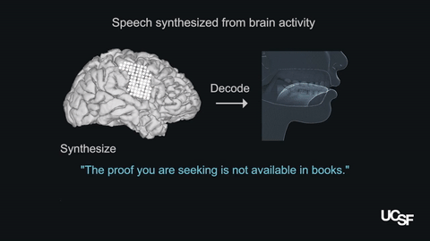 马斯克推脑机接口芯片！1小时安装睡觉时充电，植入活猪现场遛很快人体试验