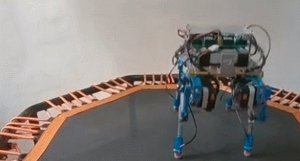 不用弹性腿也能跳,浙大博士用蹦床研究机器人跳跃