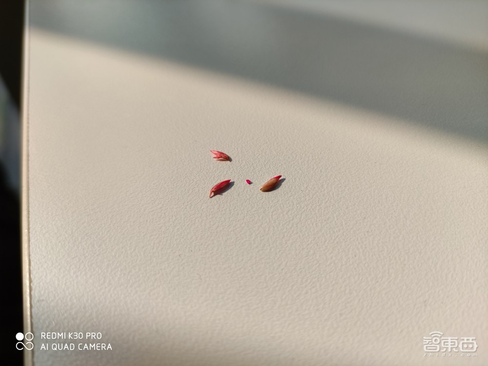 “显微镜”也能放上手机,没有高刷的红米K30 Pro算不算旗舰?