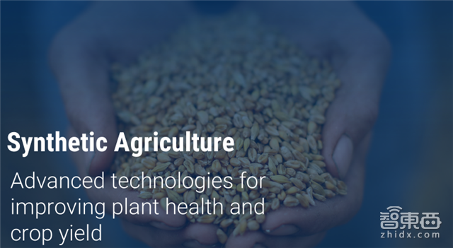 年终重磅:解密全球30家搅局者和355家上市路上的科技公司【附下载】|智东西内参