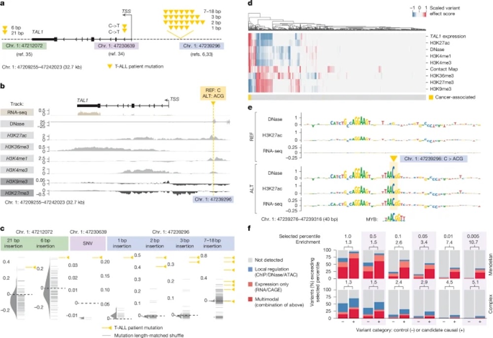 历史性一刻!人类基因密码被谷歌AI破解,DeepMind新作登Nature