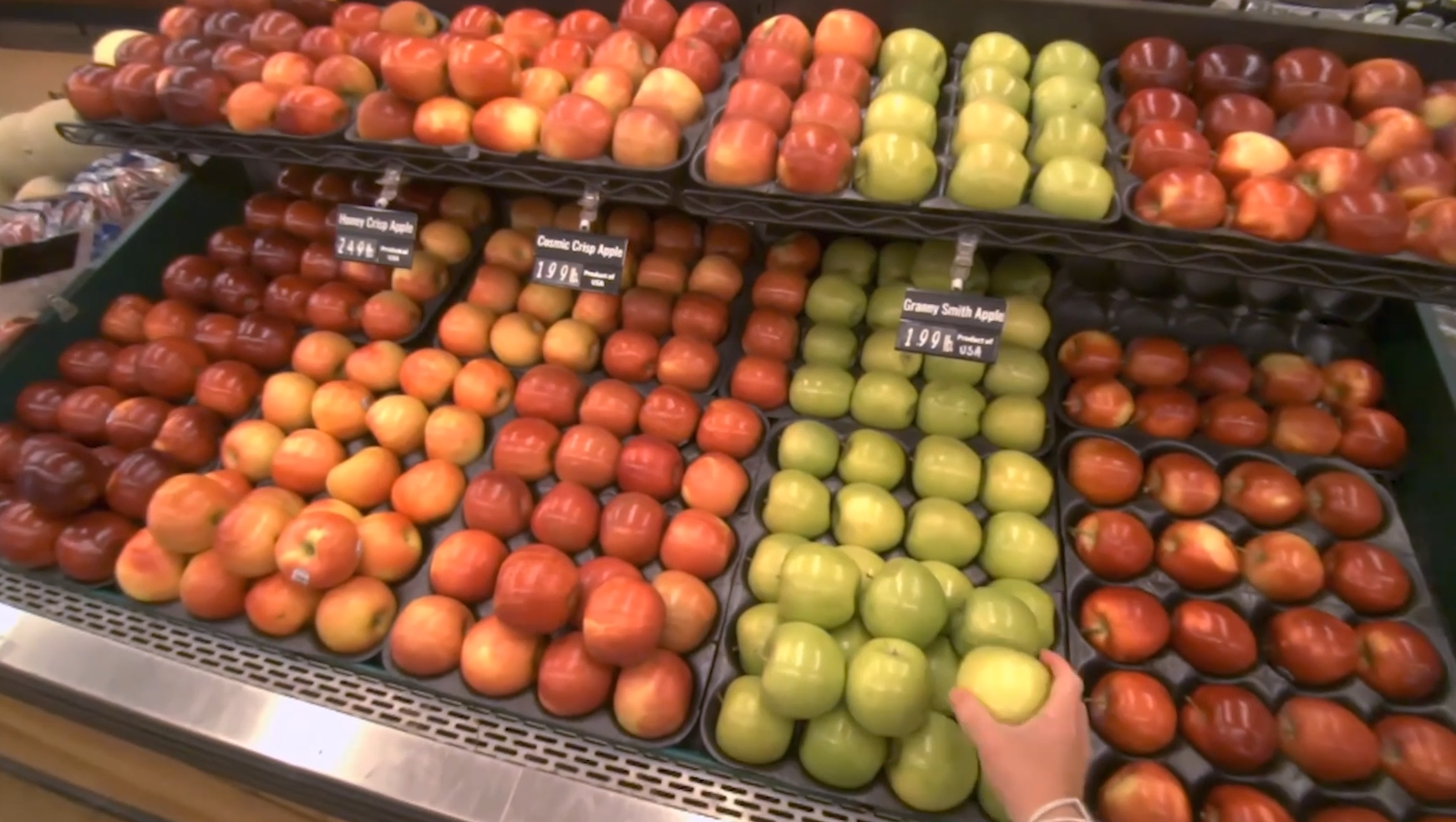 楊立昆親自發(fā)布：Meta最強世界模型開源