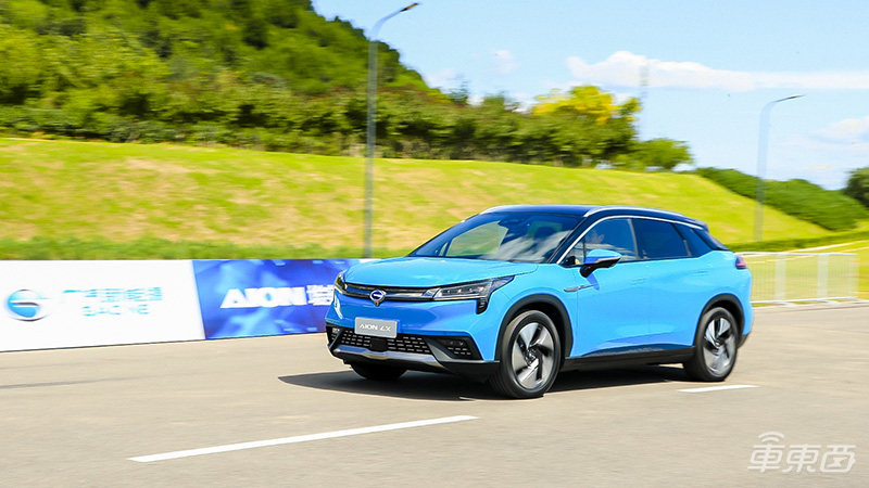 世界上最聪明的“狗”来袭！百万级“代码血统”