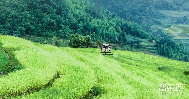 智东西晚报:锤子手机T2跑分配置曝光 指纹识别将可识男女