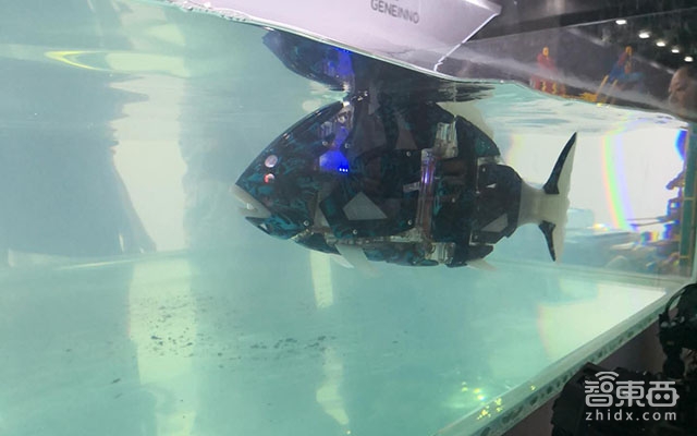 对话零一科技总经理陈江山:做科技信徒,加速科技产业链发展