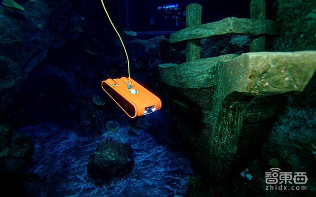 千亿美元新蓝海:机器人养鱼了解一下?