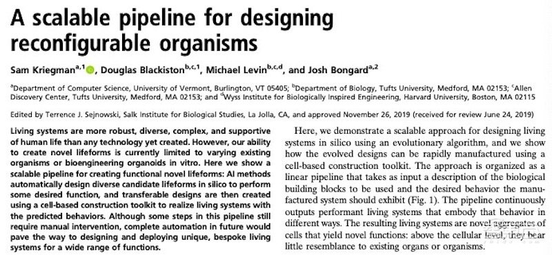 全球首个活体可编程机器人诞生!100%青蛙基因,劈成两半还能自愈
