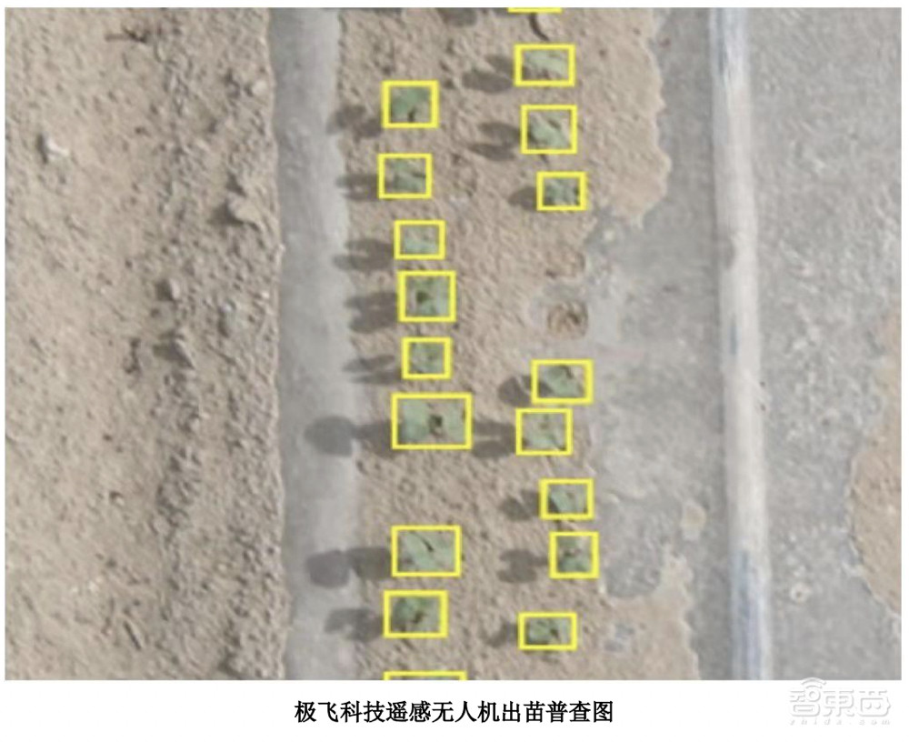 农用无人机第一股!大疆最想干掉的对手,极飞科技IPO解读