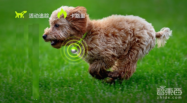 硬创先锋罗畅:创客不是创业 三年开源社区后再造宠物穿戴