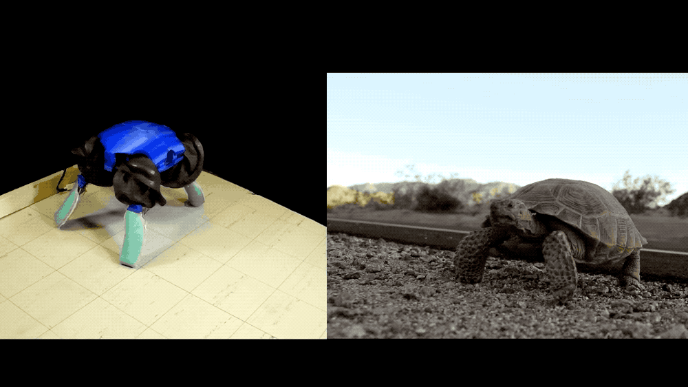 两栖机器龟登上Nature封面!结合海龟、陆龟和机器人的各种优势