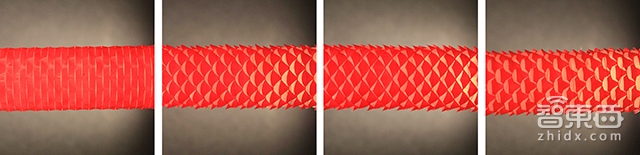 可以像蛇一样爬行的机器人 秘诀在于哈佛研究的人造蛇皮