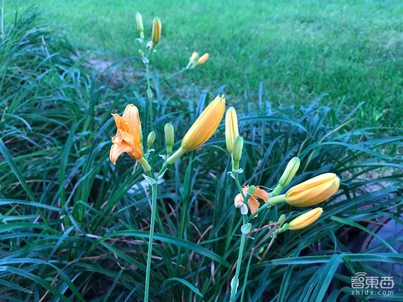 iPhone 8/8 Plus体验:一个时代的完美收官!