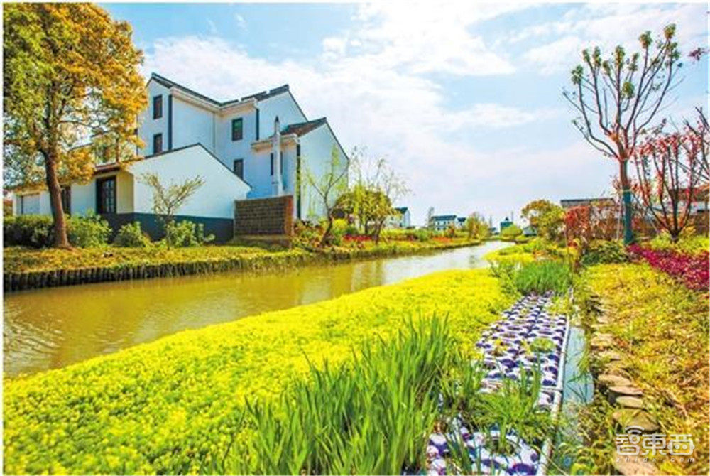 你回不去的老家,正搭上数字化的大潮飞起!