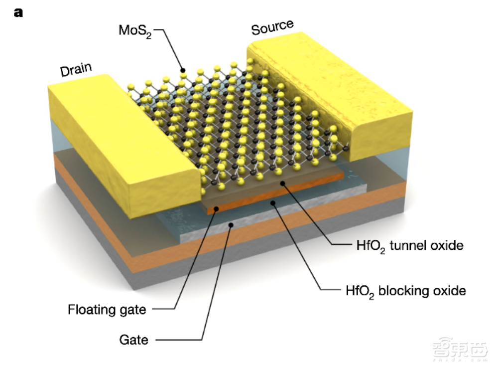 Nature揭秘:原子薄型半导体如何成为存内计算“救星”?