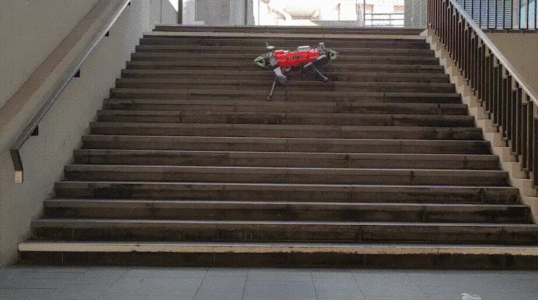 擅长爬山的机器狗登Science，比人类徒步速度快4分钟