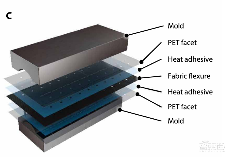 科学家参透瓢虫翅膀“玄机”,造新型柔性可折叠机器人