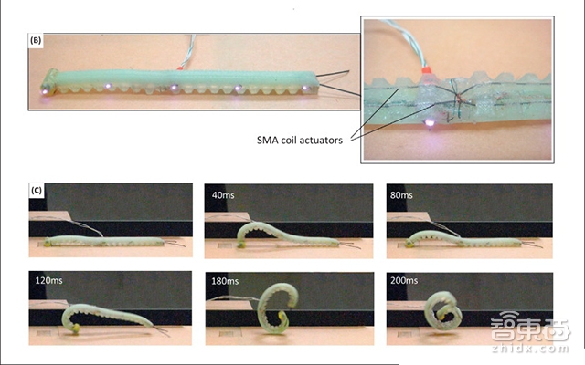 别看软乎乎的!它们都是受宠的不正经机器人