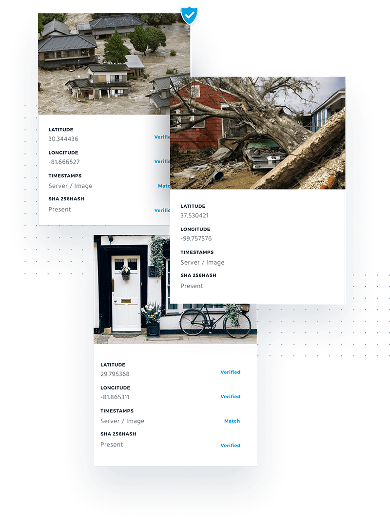 美国刮起“反AI换脸”热潮,创企各出奇招,联合对抗deepfakes